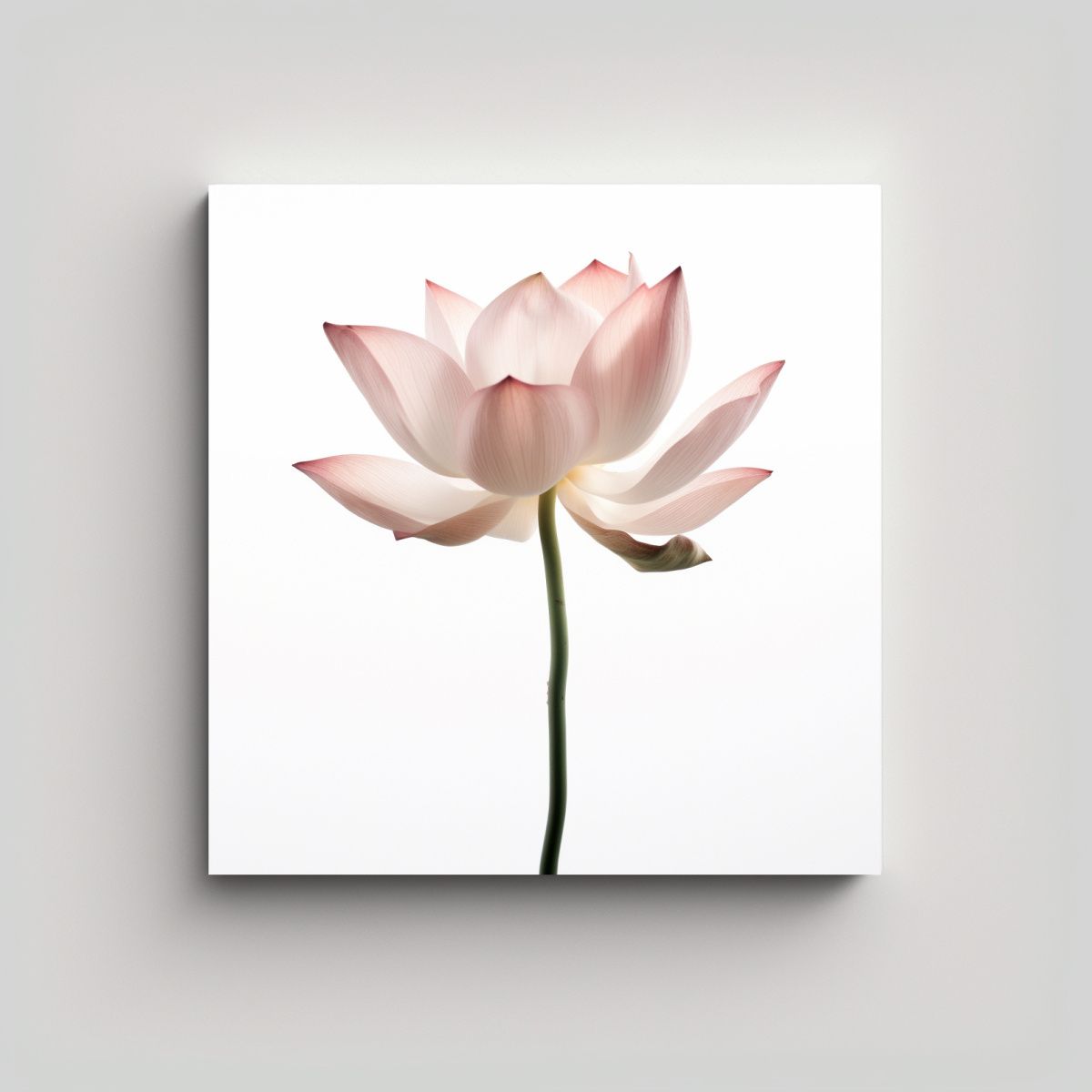 GENERICO - Arte Conceptual Único Flor De Loto Tallo 60x60 Cm