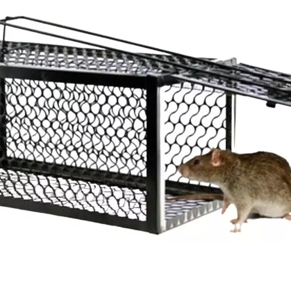 ATURE - Trampa Ratones Lauchas Jaula Trampa Captura Automatica