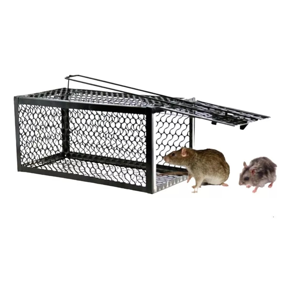 ATURE - Trampa Ratones Lauchas Jaula Trampa Captura Automatica