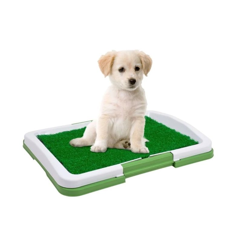 GENERICO - Baño Para Perros Y Gatos Mascota 3 Niveles 47x34cm Verde