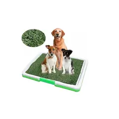 GENERICO - Baño Ecológico Sanitario Xl Perros Y Gatos Green