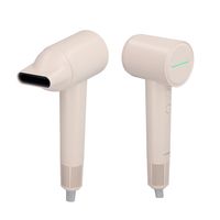 Secador de Pelo Antifrizz H3