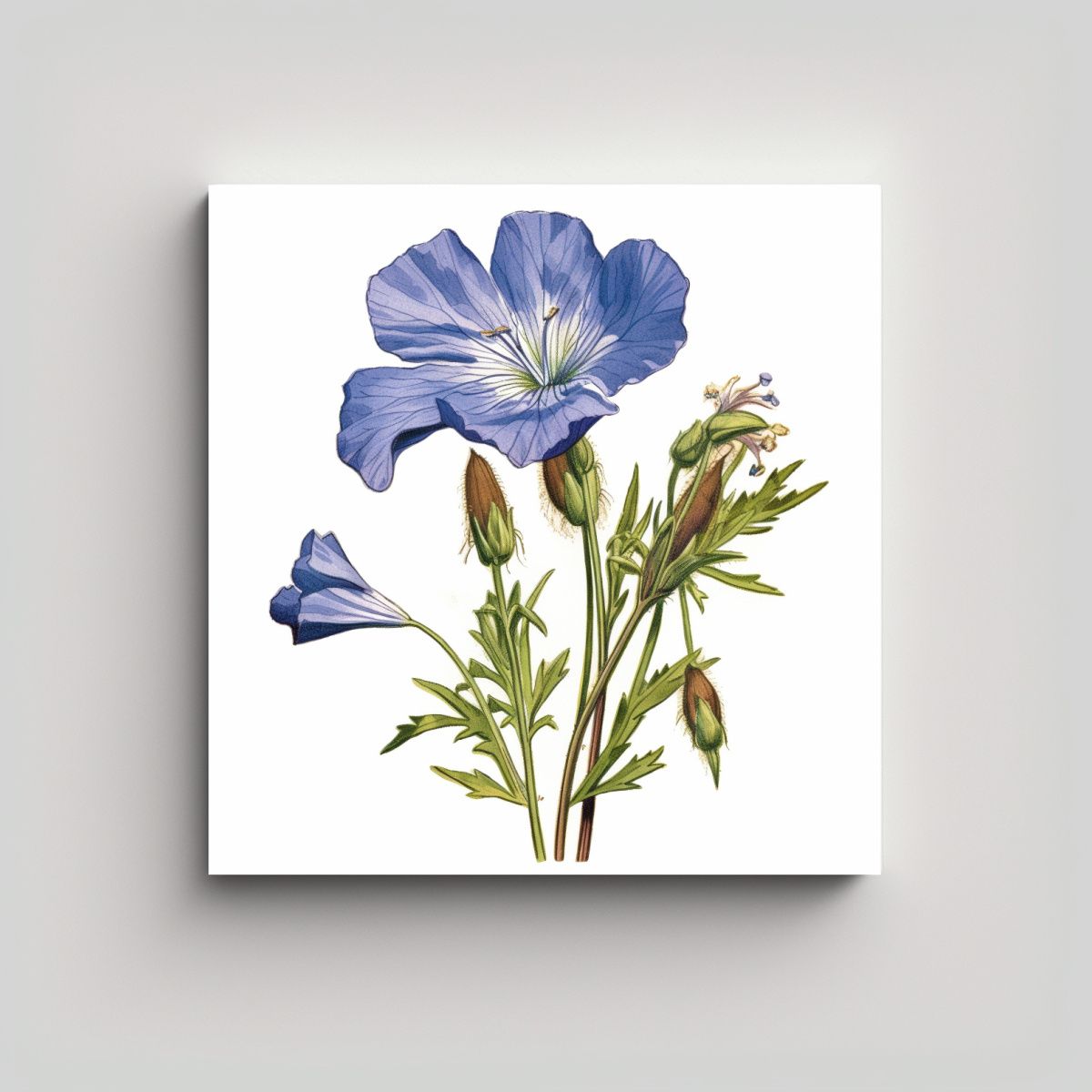 GENERICO - Cuadro Vintage De Flor Silvestre Azul Profundo 50x50 Cm