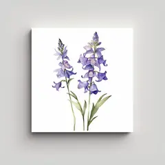 GENERICO - Cuadro Acuarela De Larkspur En Bastidor Para 50x50 Cm