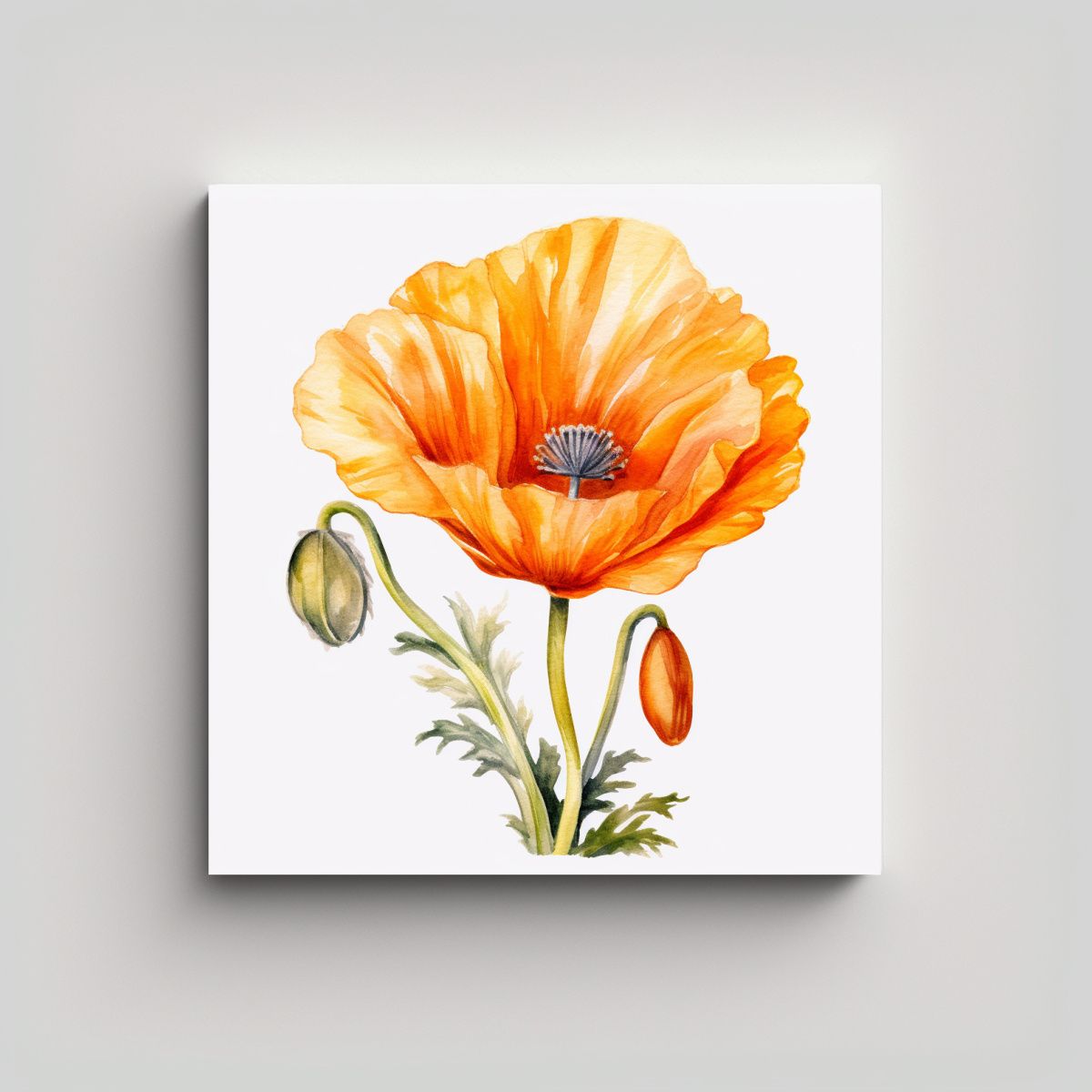 GENERICO - Ilustración Detallada De Amapola Californiana En 90x90 Cm