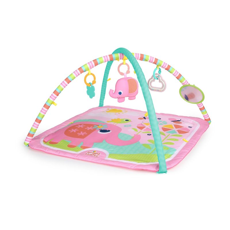 BRIGHT STARTS - Gimnasio Fanciful Flowers Bright Starts