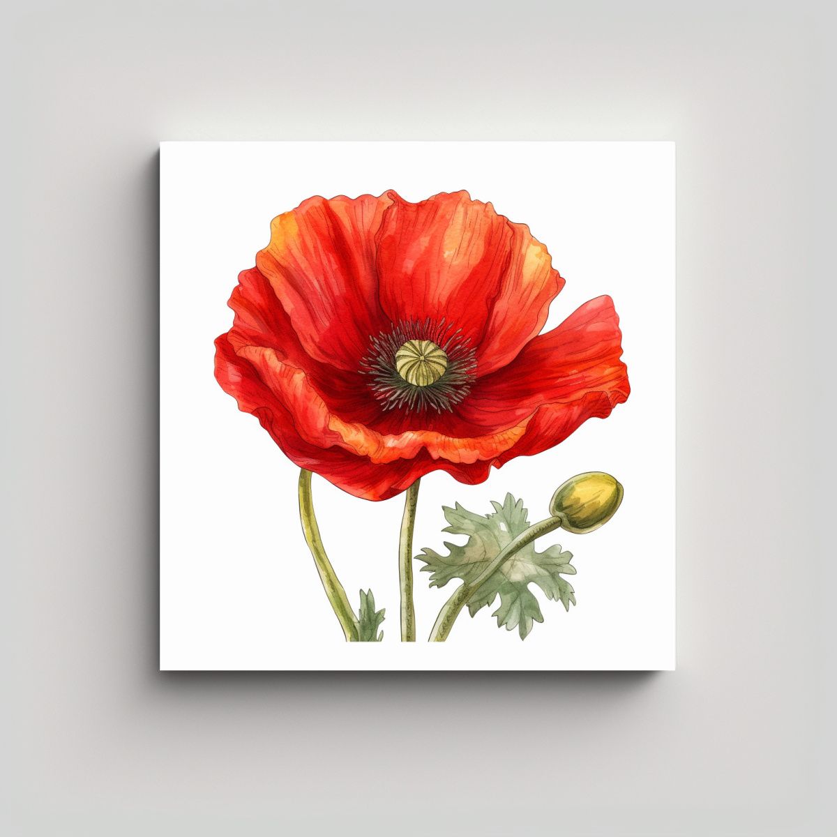 GENERICO - Composición De Reflejo En Lienzo: Ilustración 60x60 Cm