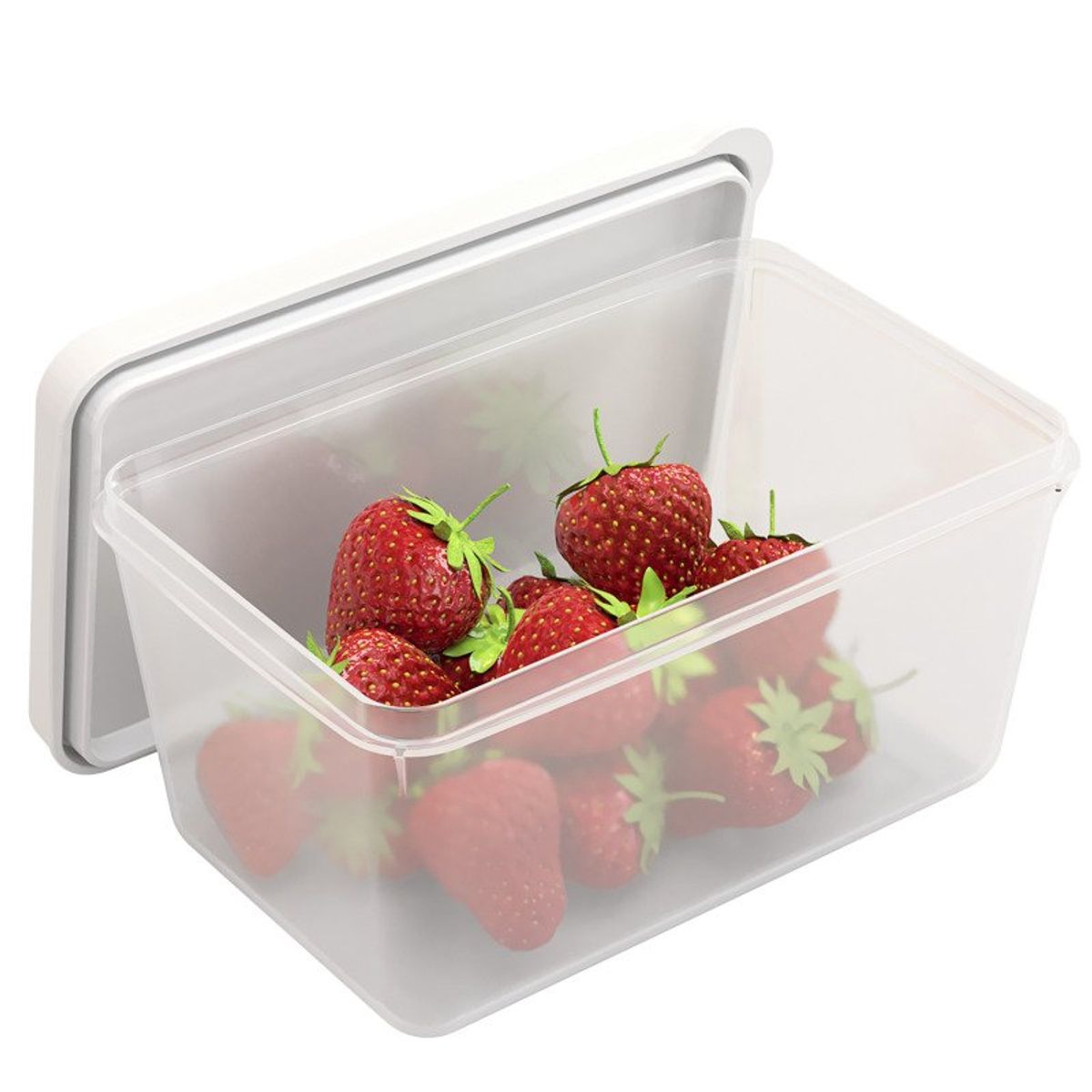 COZA - Contenedor De Plastico 600ml Con Tapa Coza Blanco