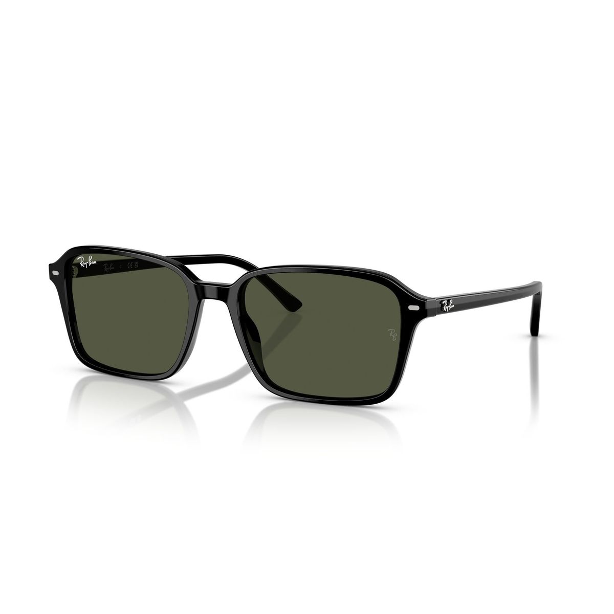 RAY BAN - Ray-Ban Raimond RB2231