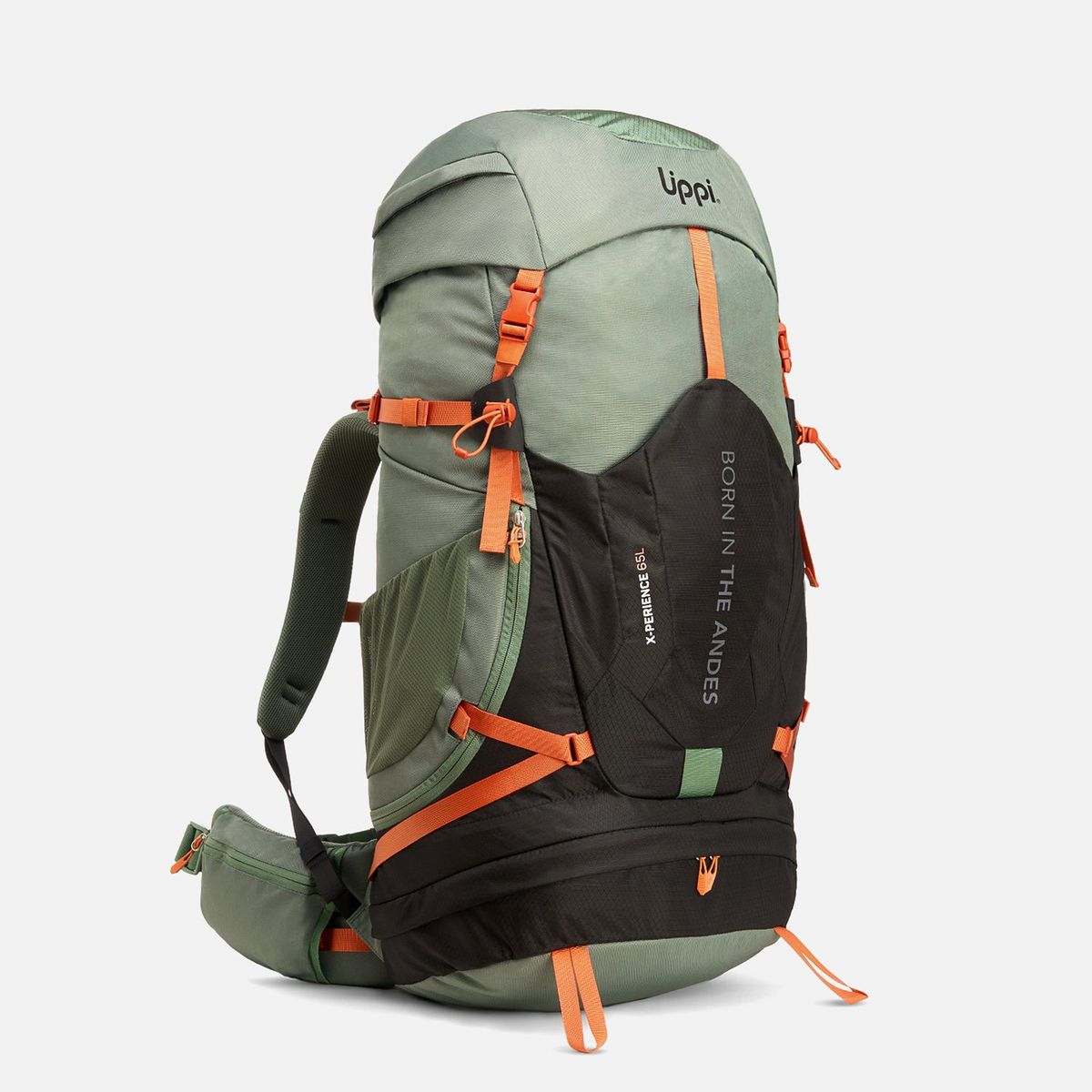 LIPPI - Mochila X-perience 65L Backpack Verde Lippi