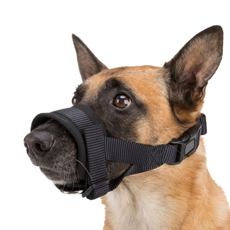 GENERICO - Bozal Adiestramiento Neopreno Acolchado Perros XXL