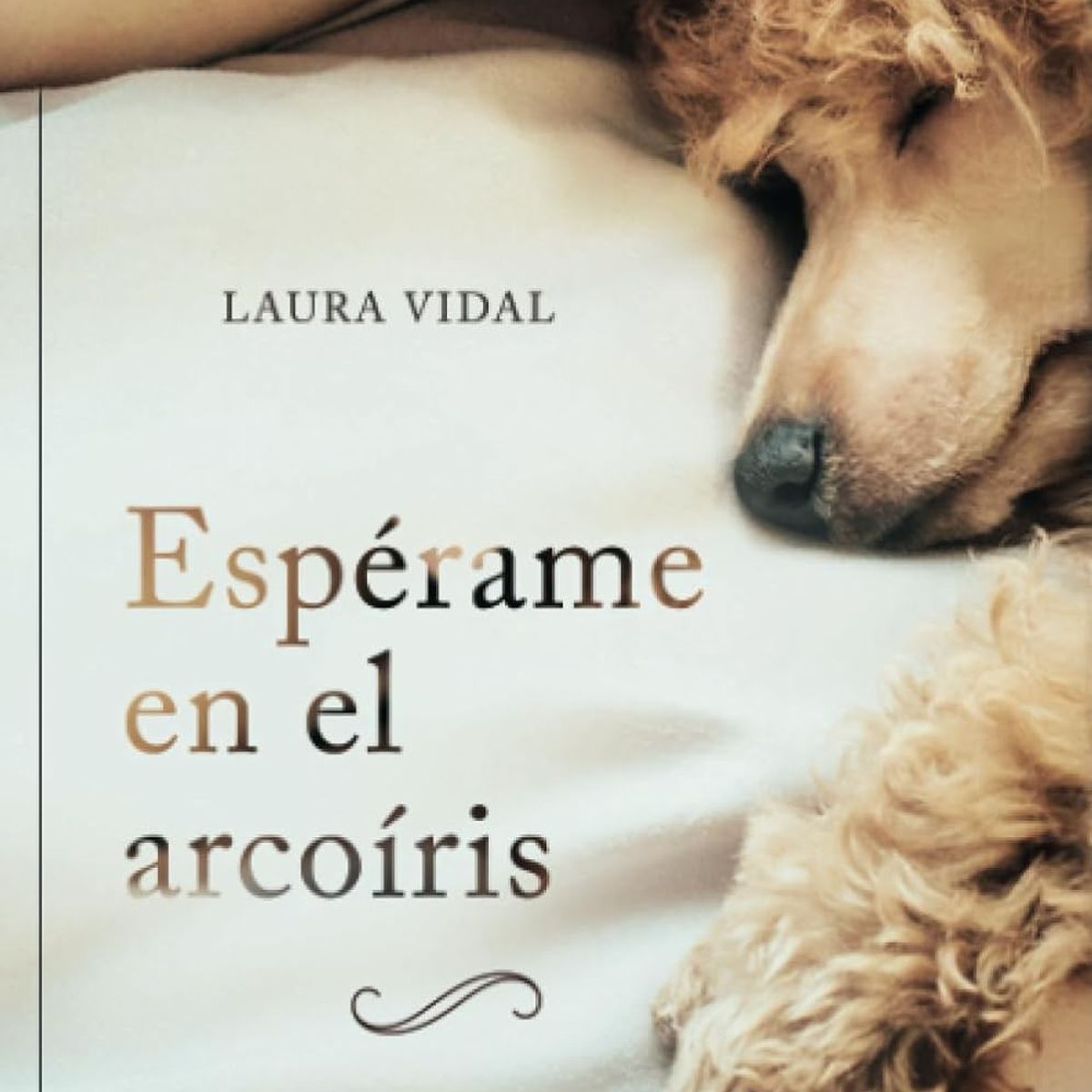 GENERICO - Libro Esperame en el arcoiris - Laura Vidal