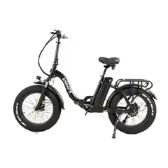 SHENGTE - E-Bike 1500W DYZ02 Black 20X4