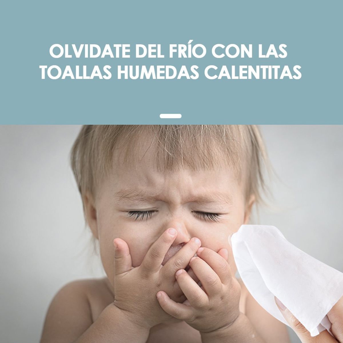 BABYMINE - Calentador de Toallas Húmedas Para Bebé OIDIRE  BABYMINE