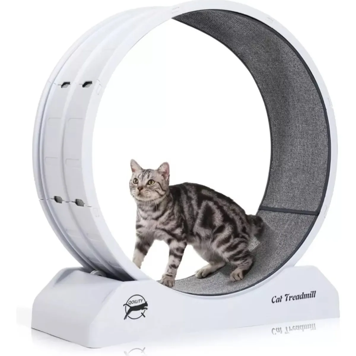 MUNDO MAGIA - Rueda De Ejercicios Para Gatos Rueda Entrenamiento Xl 80cm