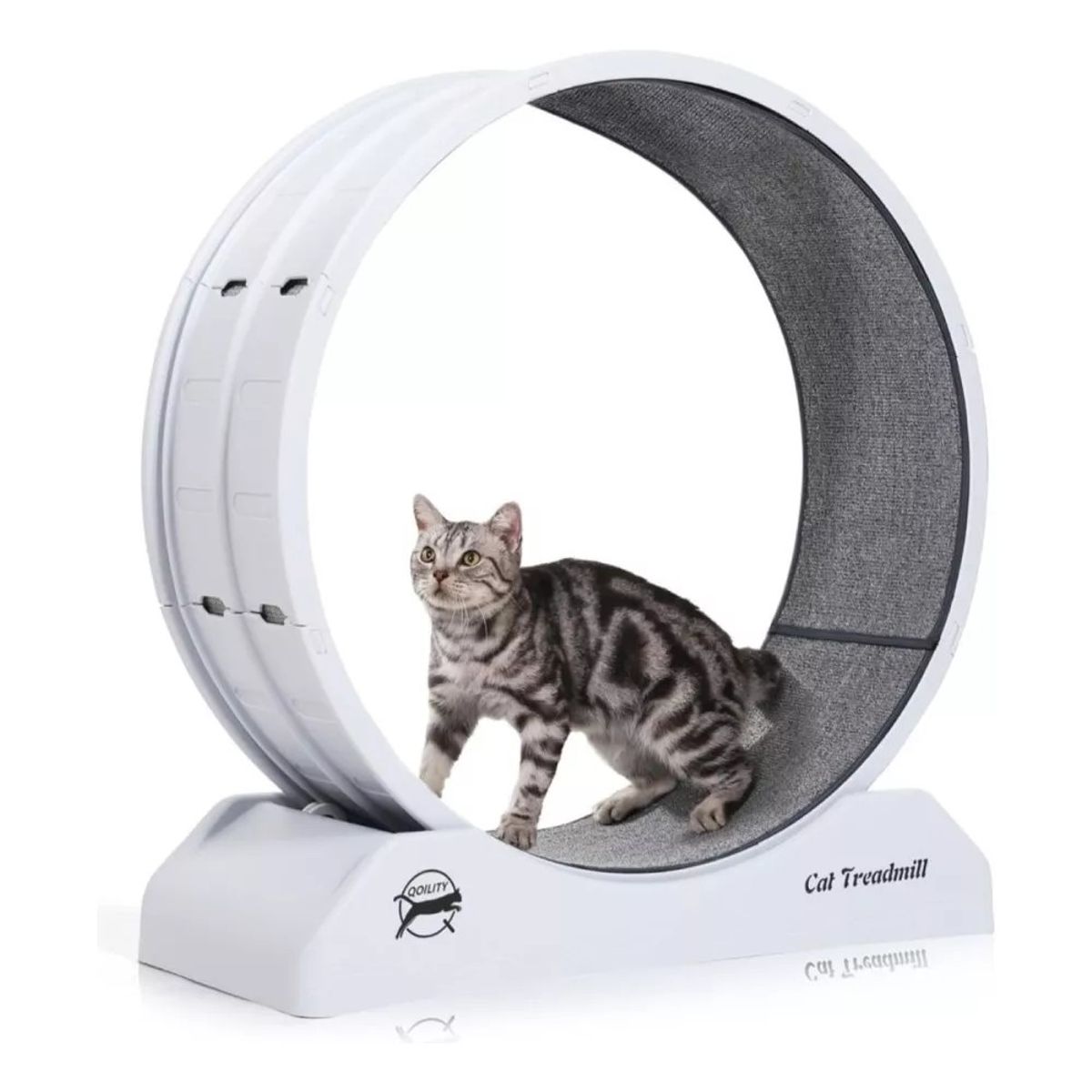 MUNDO MAGIA - Rueda De Ejercicios Para Gatos Rueda Entrenamiento Xl 80cm