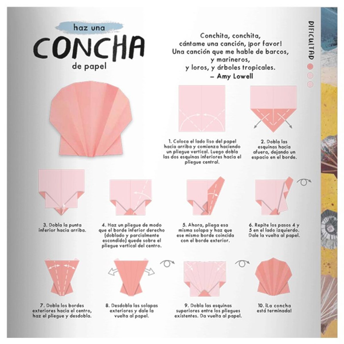 EDITORIAL CONTRAPUNTO - Origami de la Naturaleza