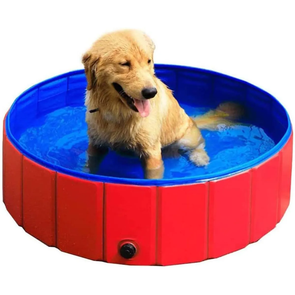 GENERICO - Piscina Plegable Para Mascota 80x20 cm