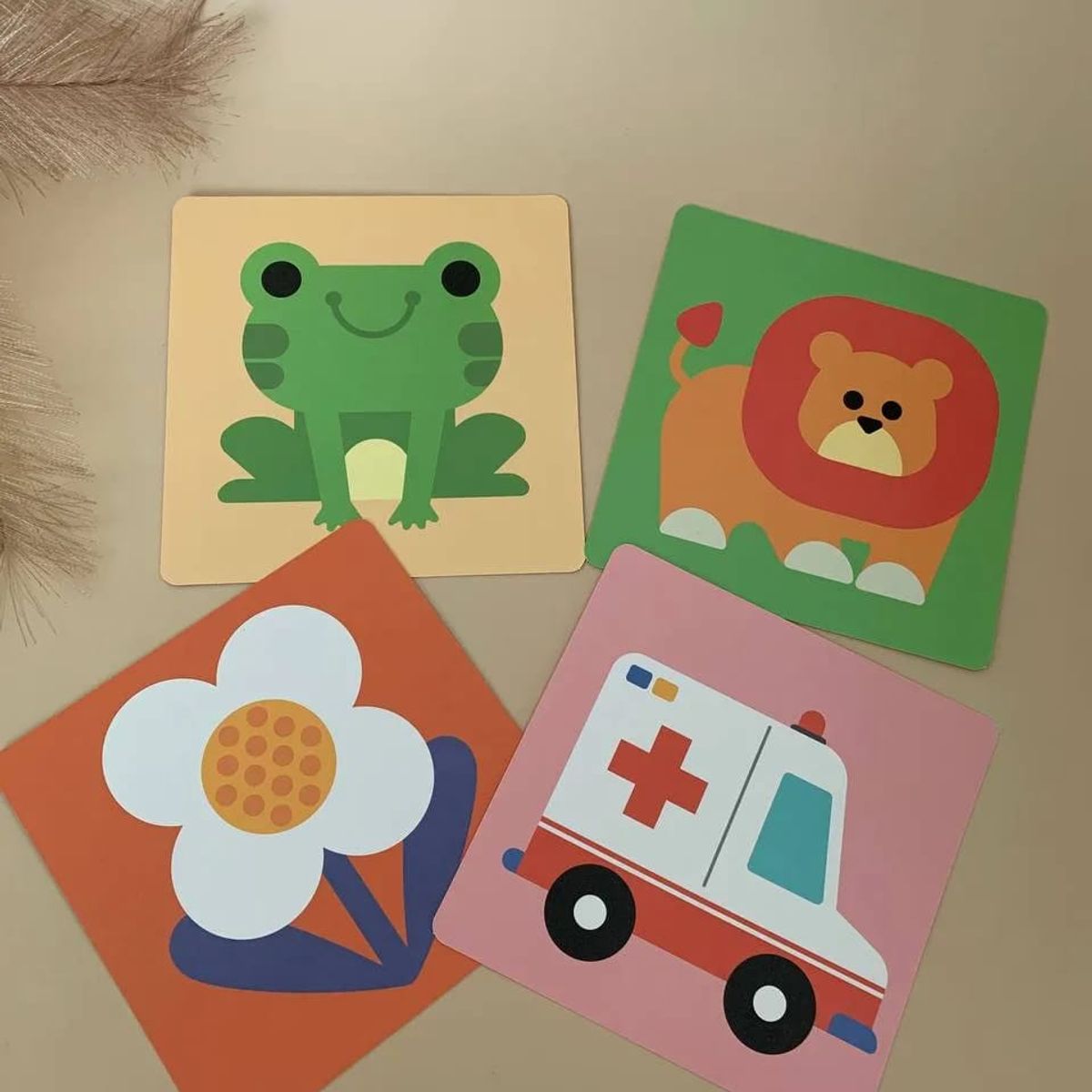 OEM - TARJETAS EDUCATIVAS ESTIMULACION VISUAL 6-12 MESES