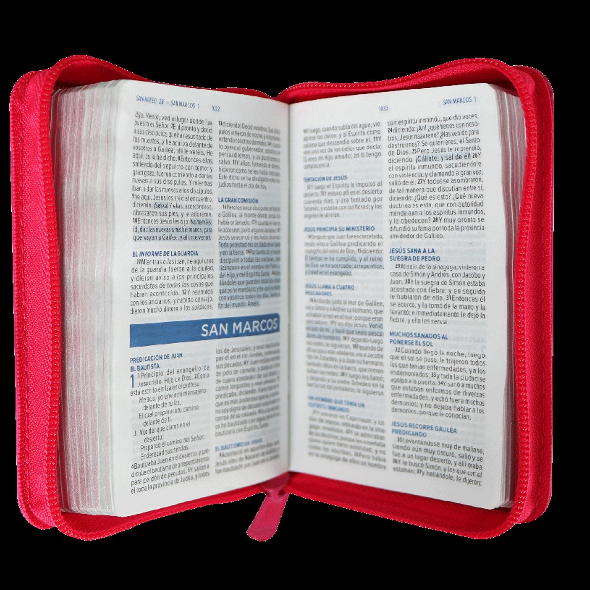 SOCIEDADES BIBLICAS UNIDAS - Biblia minibolsillo Reina Valera 1960 fucsia con cierre