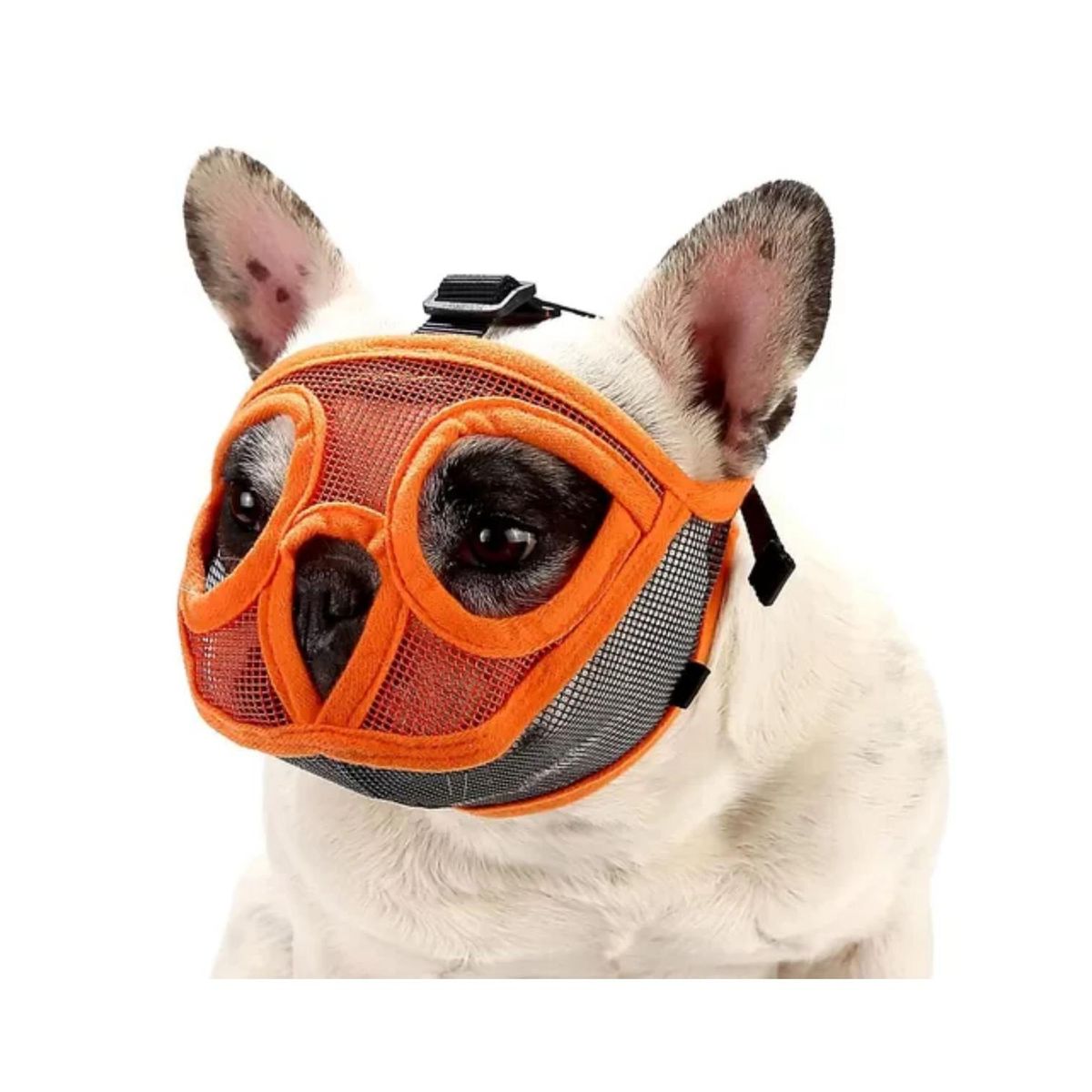 GENERICO - Bozal perros Grandres bulldog inglés Branquicefalos 22-35kg