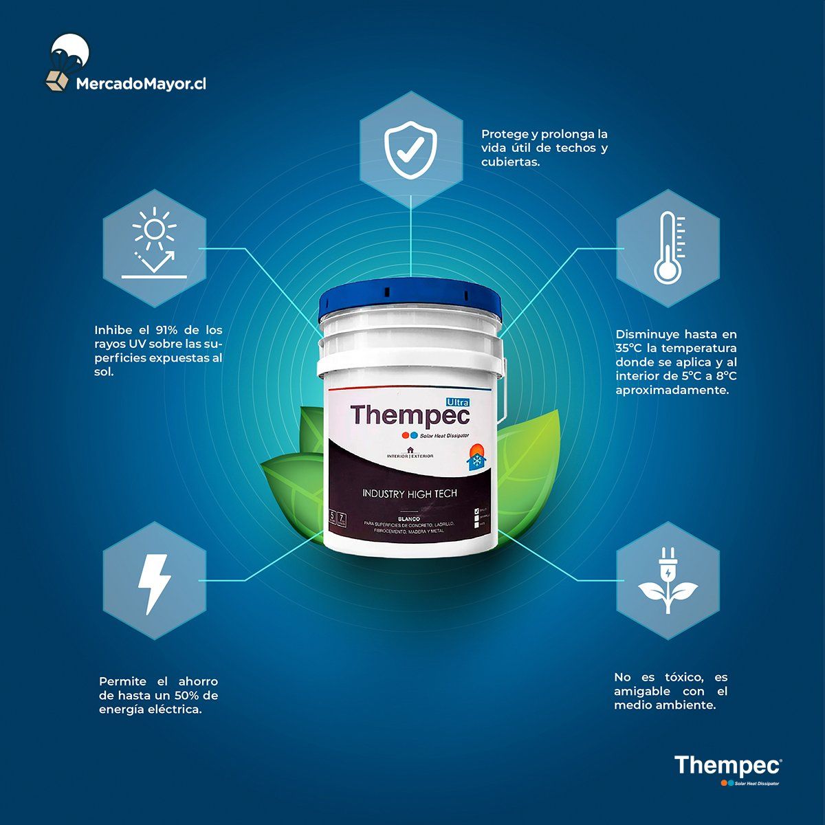 THEMPEC - Pintura Dispadora de Calor Thempec Ultra 1 GL