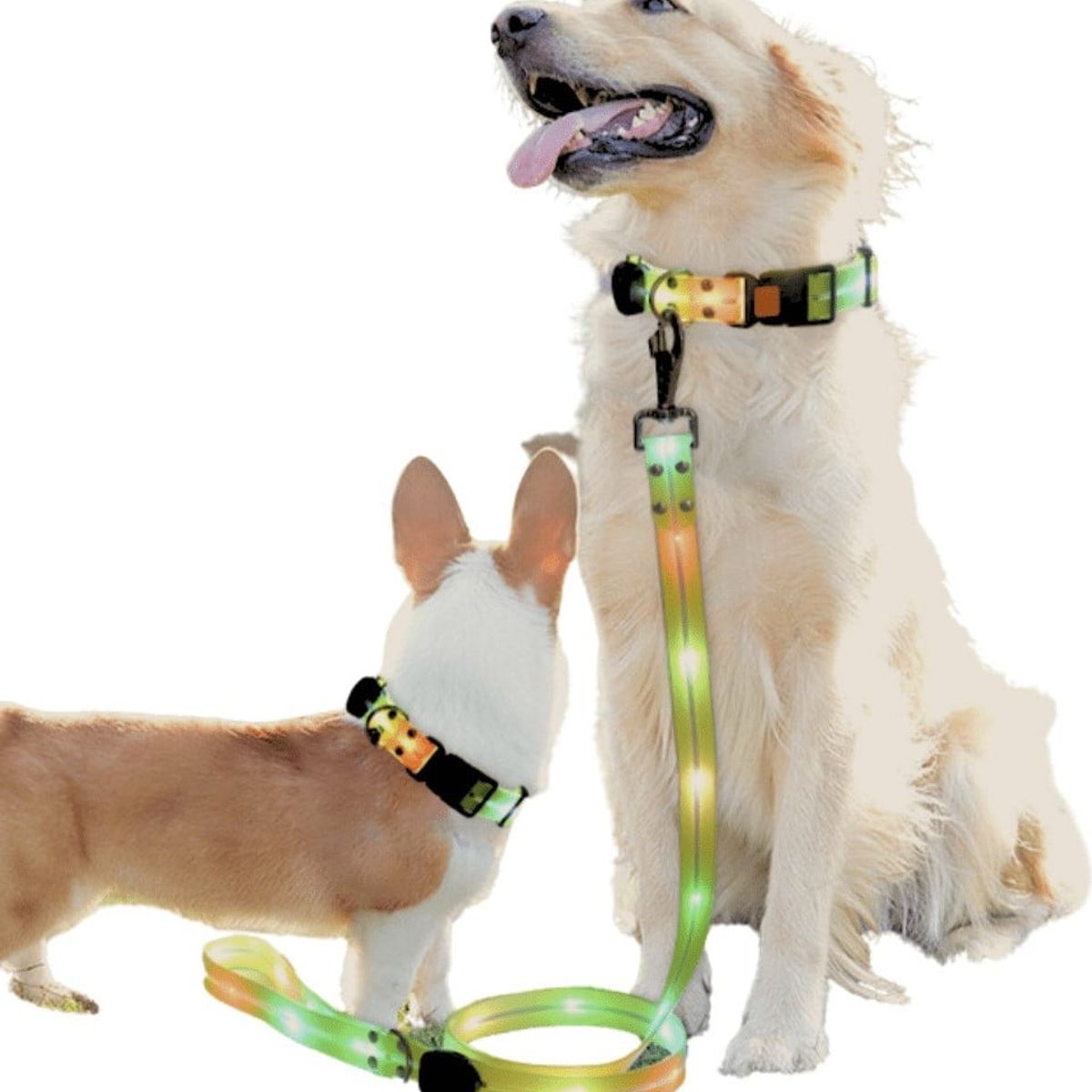 CRUSEC - Correa + Collar Con Luces LED Impermeable