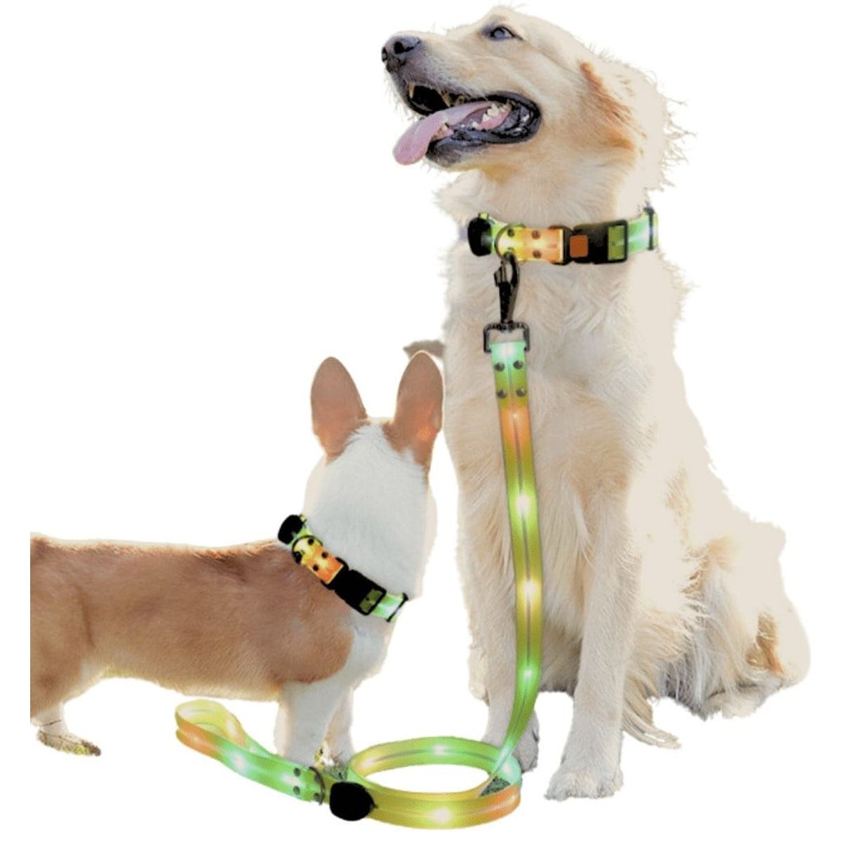 CRUSEC - Correa + Collar Con Luces LED Impermeable