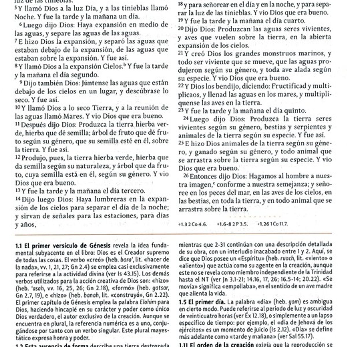 HARPERCOLLINS - Biblia de Estudio de la Mujer Reina Valera 1960 floral rosado