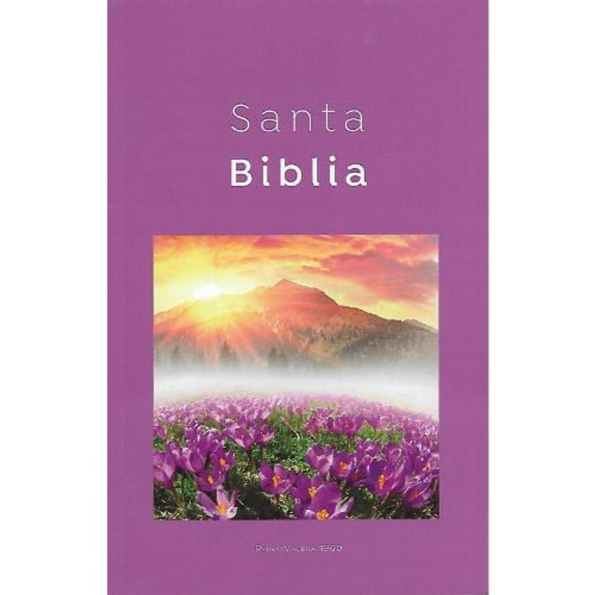 ABBA - Biblia Reina Valera 1960 Misionera Economica Lila