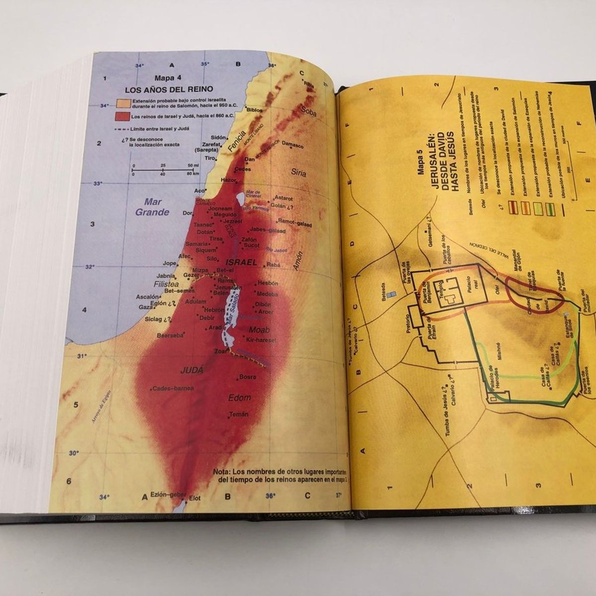 HARPERCOLLINS - Biblia de Estudio MacArthur Reina Valera 1960 Tapa Dura