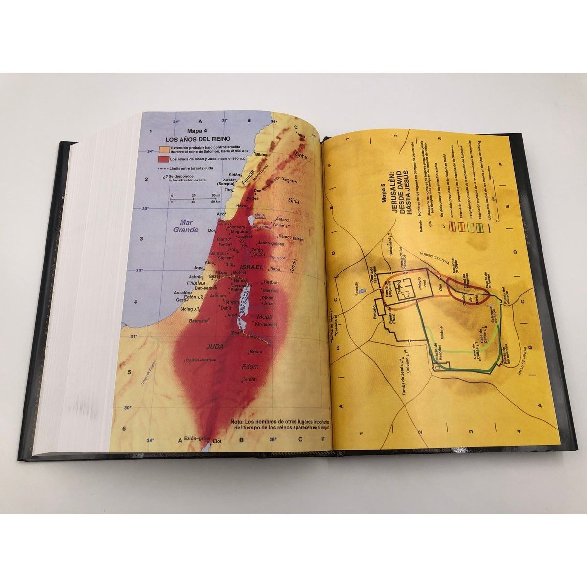 HARPERCOLLINS - Biblia de Estudio MacArthur Reina Valera 1960 Tapa Dura