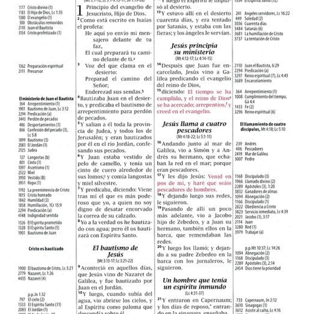SOCIEDAD BIBLICA CHILENA - Biblia Thompson Milenio RVR60