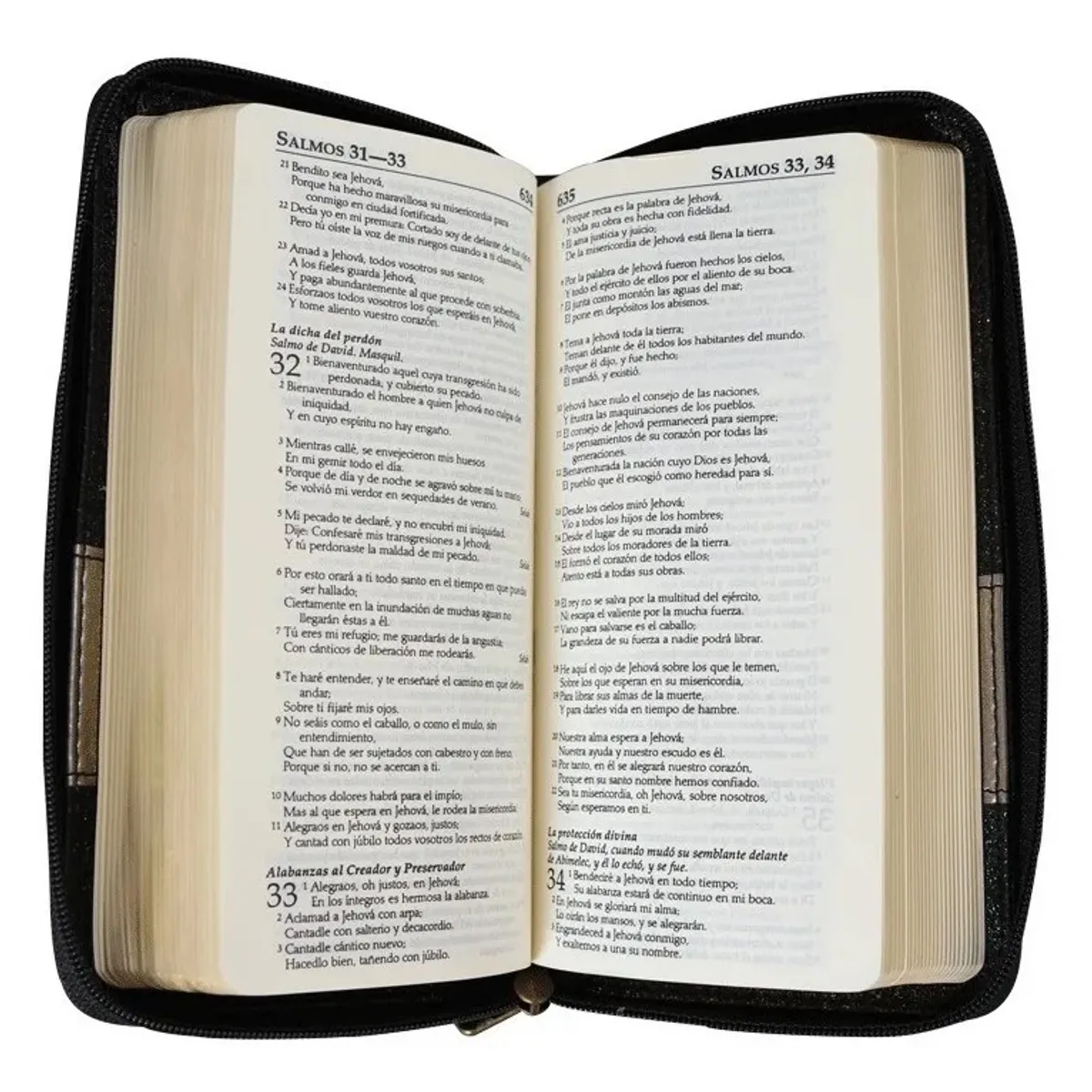 SOCIEDAD BIBLICA CHILENA - Biblia RVR1960 portátil  con cierre negro brillante