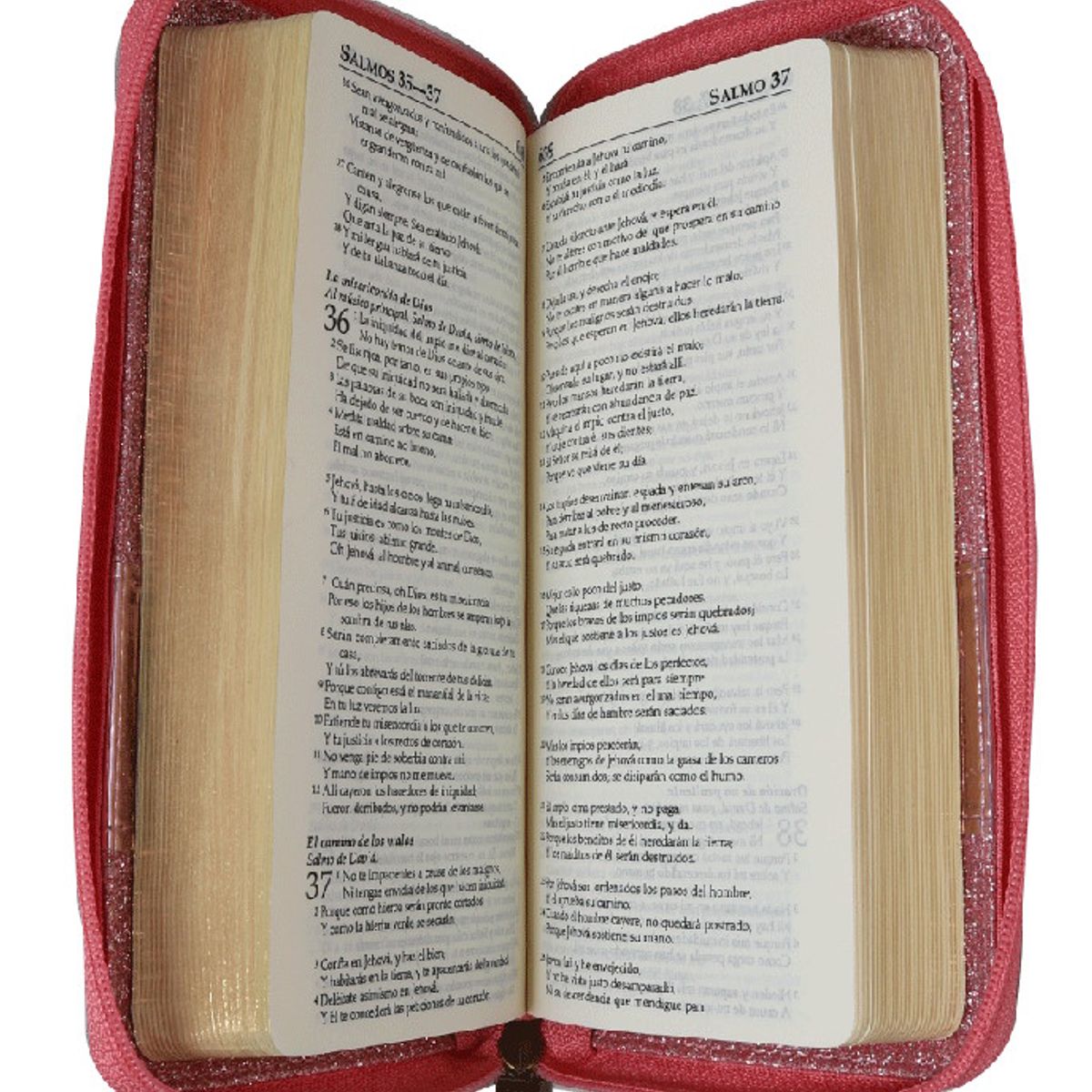 SOCIEDADES BIBLICAS UNIDAS - Biblia Reina Valera 1960 portátil cierre rosa claro.