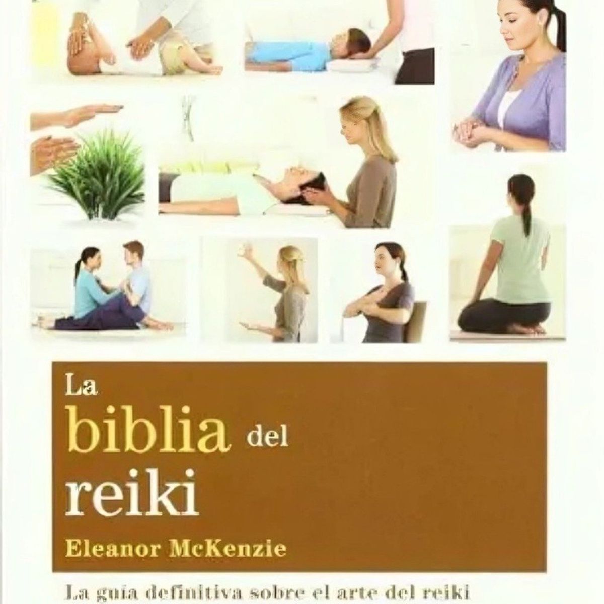 TOP10BOOKS - LIBRO La Biblia Del Reiki - La Biblia Del Reiki