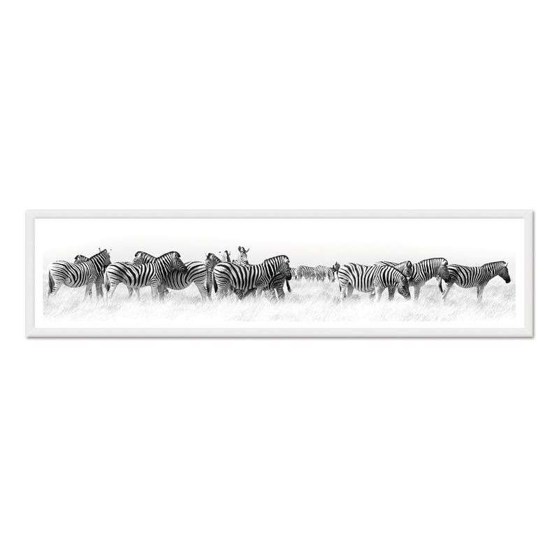 ALCUADRADO - Cuadro Mini Panoramico Manada Zebras Blanco