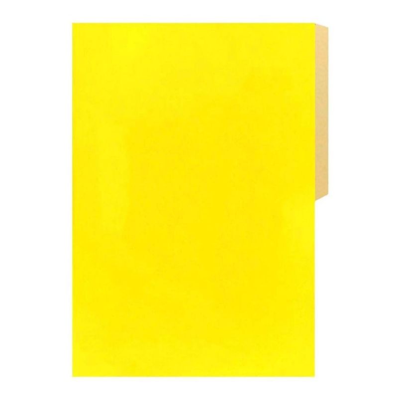 HALLEY - Carpeta Cartulina Pigmentada Pack 20 Un