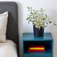 RESPALDO CURVO - 1 PLAZA - VELVET COLOR GRIS