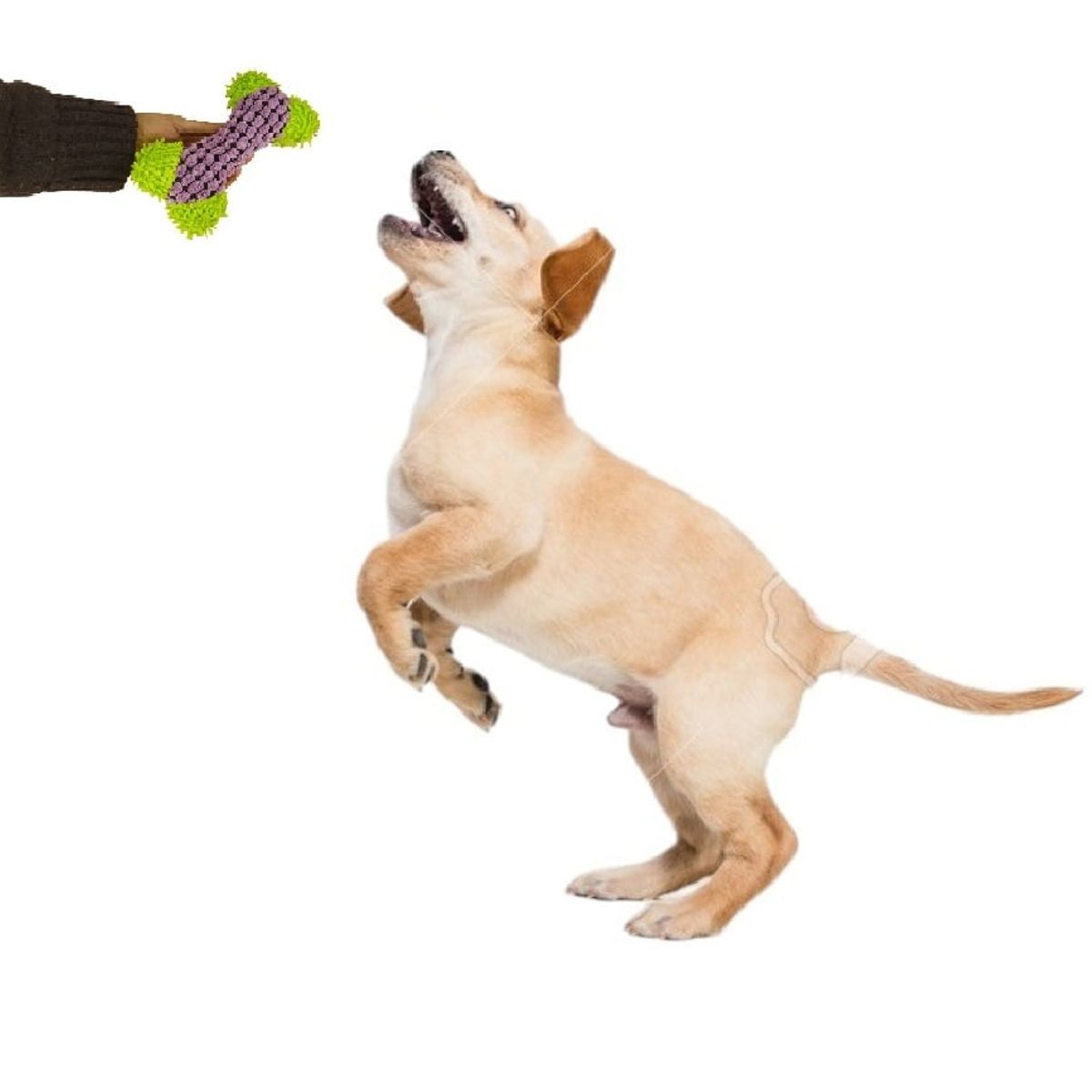 GENERICO - Peluche Para Mascota Sonoro Con Forma De Hueso