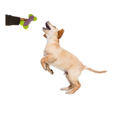 Imagen 2 del producto Peluche Para Mascota Sonoro Con Forma De Hueso