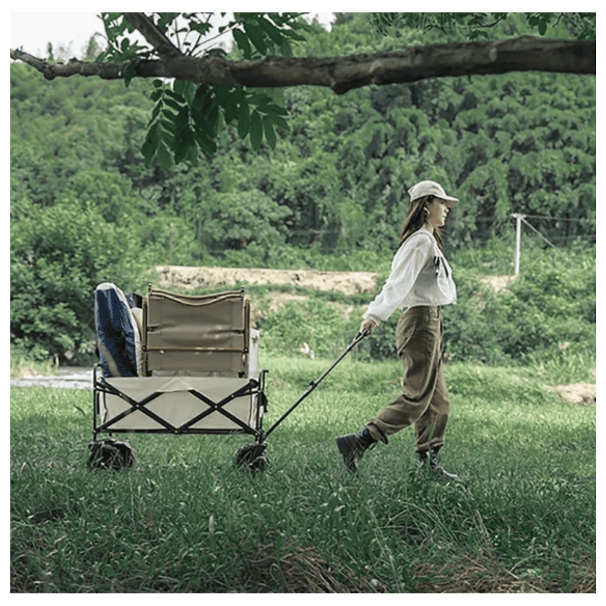 GENERICO - Carrito con Mango Plegable Ajustable