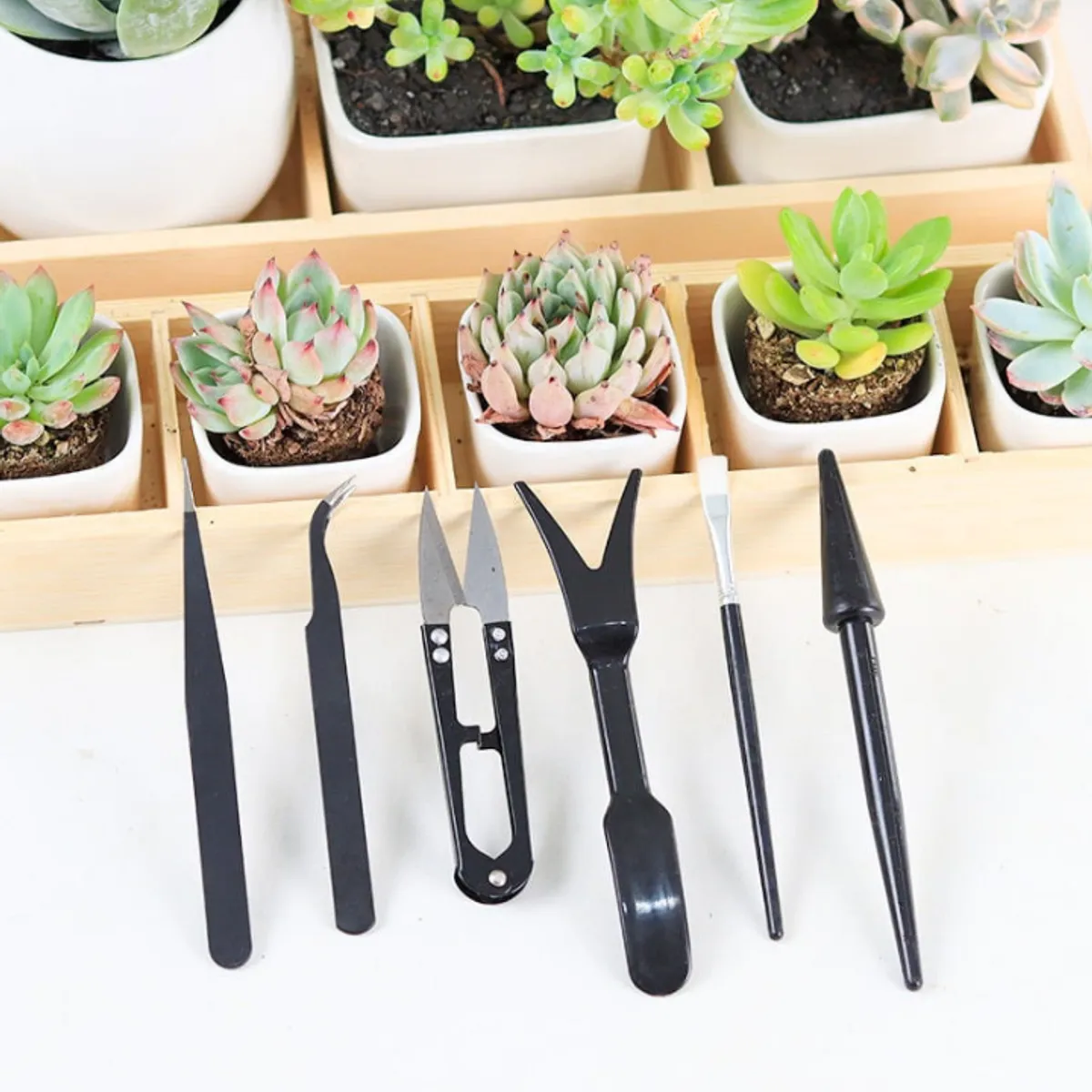 KUANGYE - Herramientas Jardín Sembrar Planta Terrario Suculenta Cactus