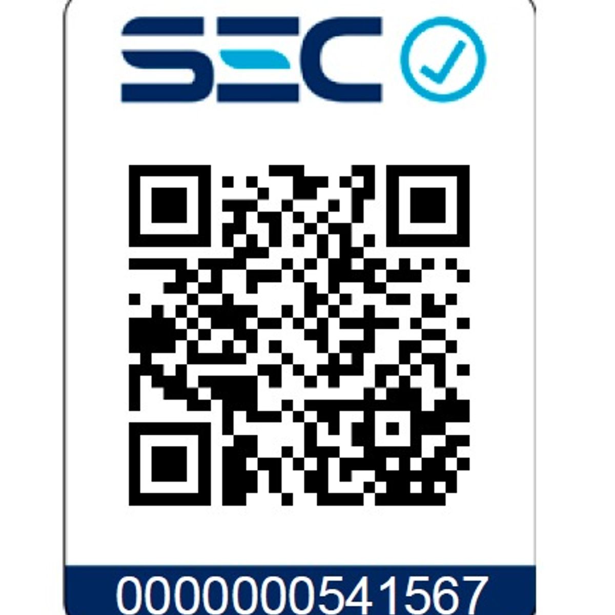 EINHELL - Pulverizador Fumigador 18v Ge-ws 18150 Li-solo Bat+ Carg