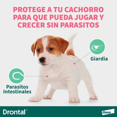 Imagen 2 del producto Antiparasitario Interno en Gotas Perro 20ml