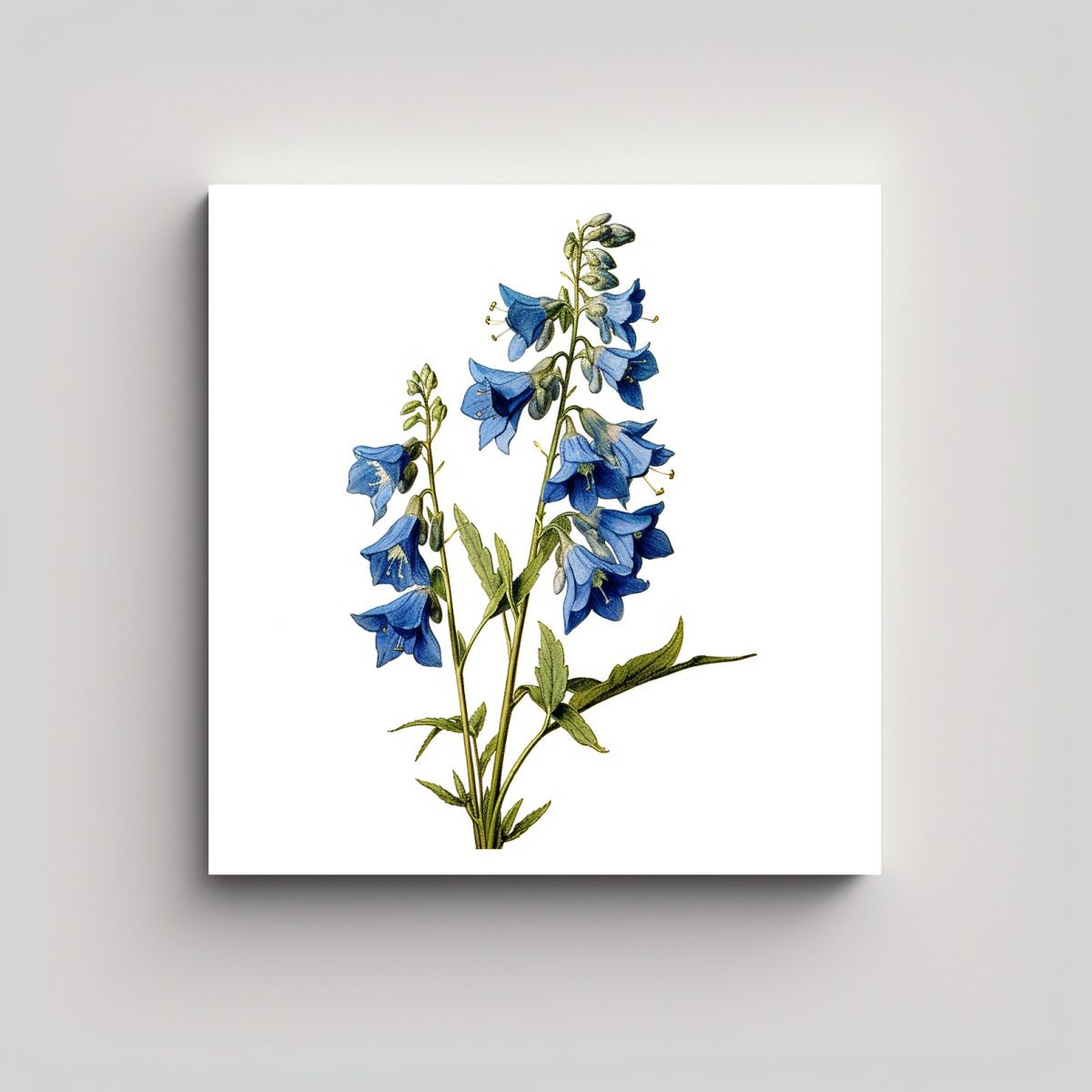 GENERICO - Ilustración Vintage De Larkspur Azul: 40x40 Cm