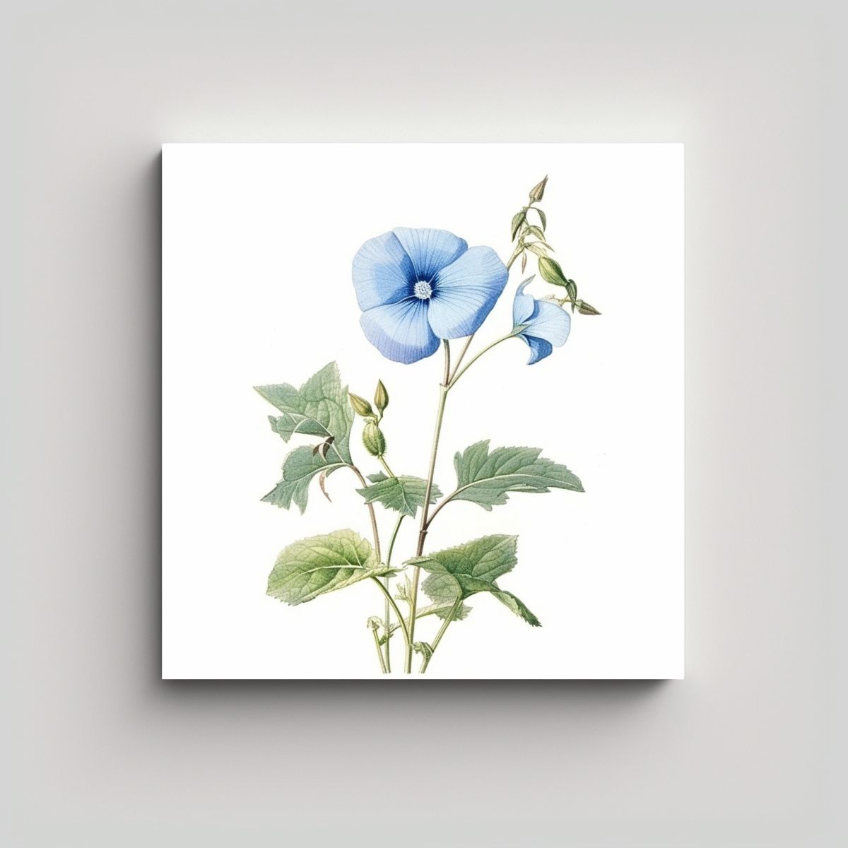 GENERICO - Ilustración Vintage De Flor Azul Daze En Lienzo 80x80 Cm