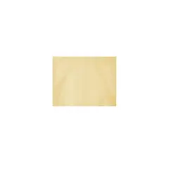 GENERICO - Papel Seda Beige Nacarado 5pcs 50x66cm