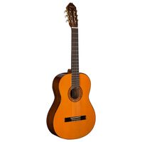 Guitarra Acustica Clasica C5 WSH-A