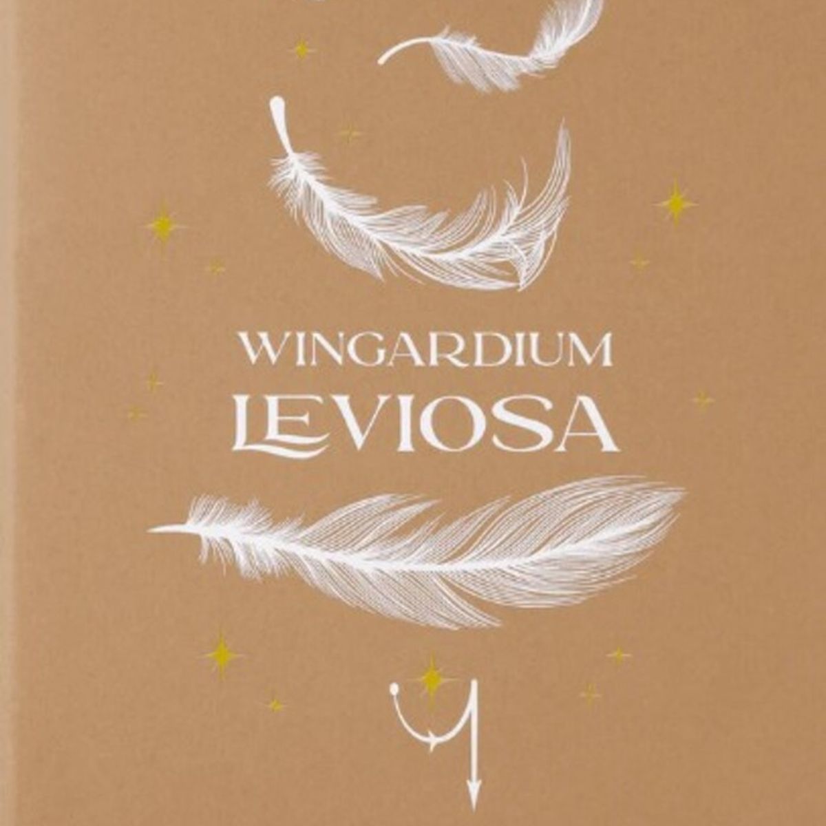 MOLESKINE - Cahier Ed. Limit. Wizarding World Harry Potter XL De rayas